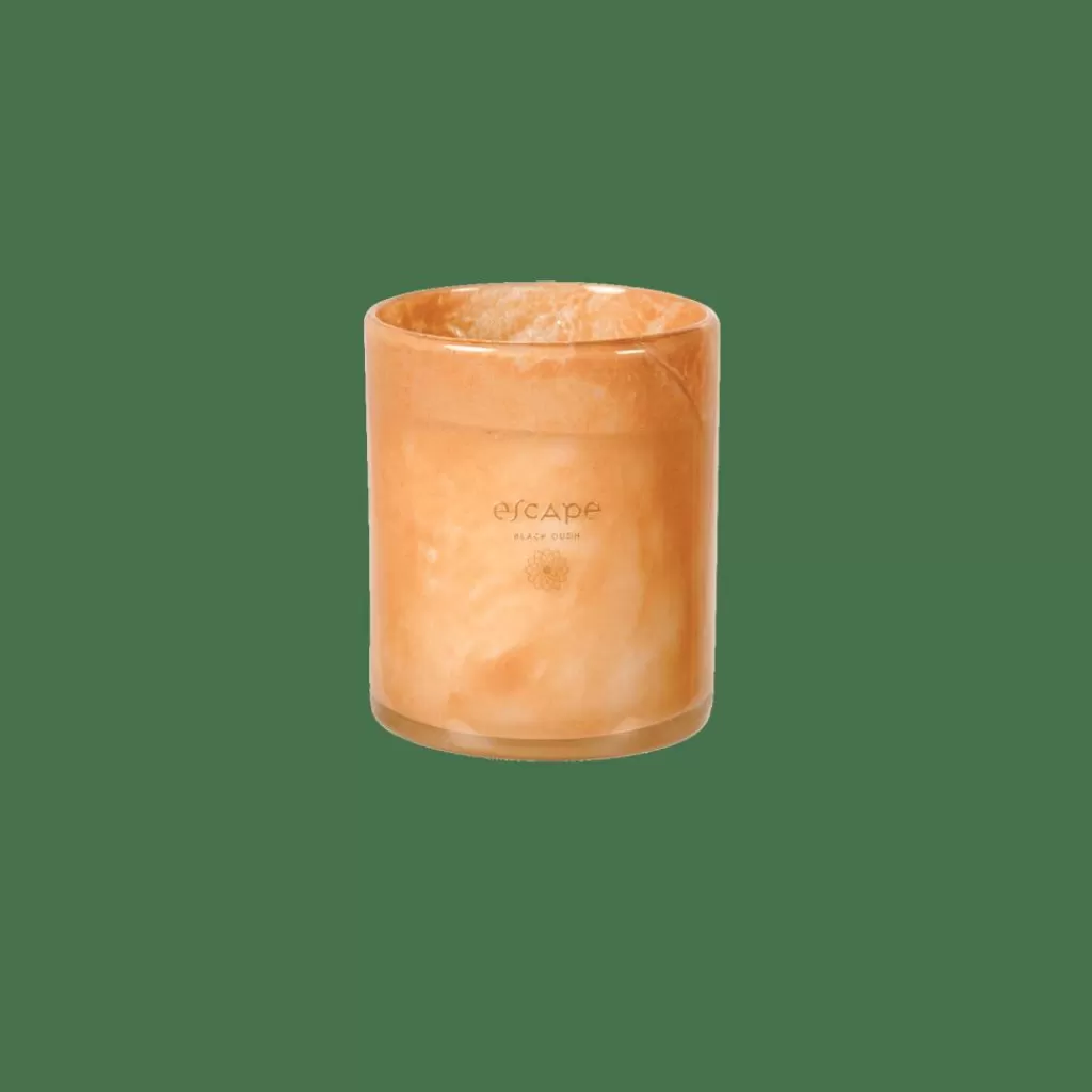 Outlet CASA ESCAPE BLACK OUDH Vela Perfumada Em Copo Branco, Rosa Antiga