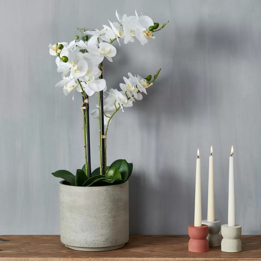 Flash Sale CASA ORCHID Orquídea Em Vaso Branco