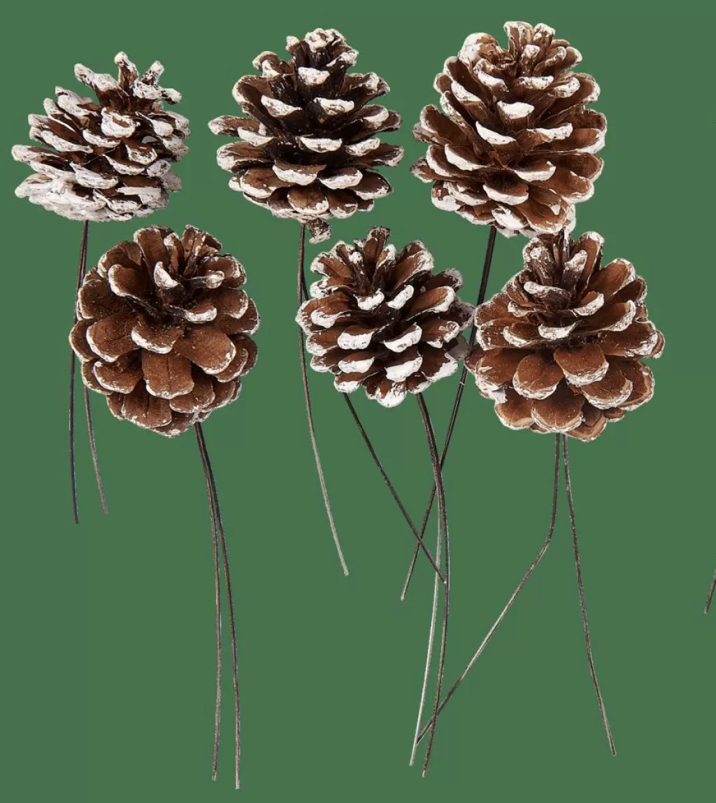 Shop CASA PINECONE Pinhas Conjunto De 6 2 Cores Branco, Prateado