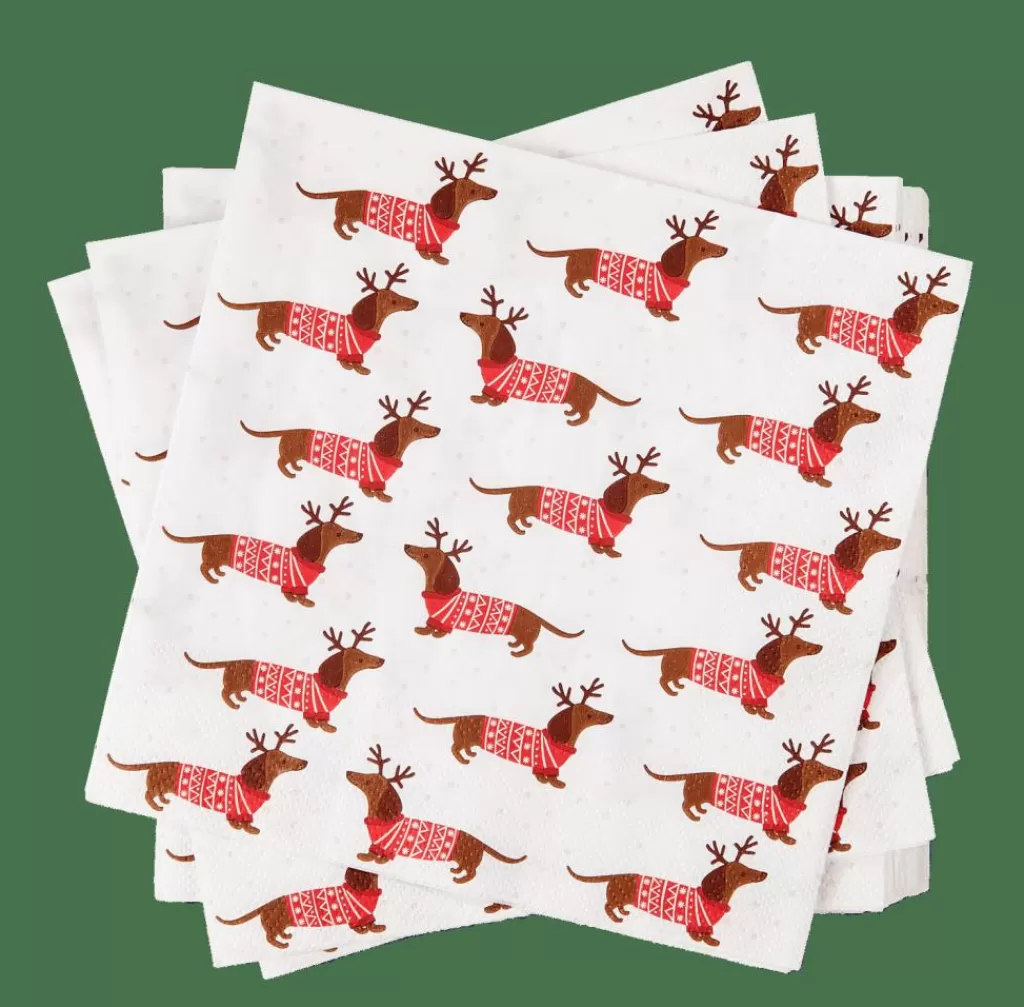 Hot CASA X-MAS DOG Guardapos Conjunto De 20 Multicolor